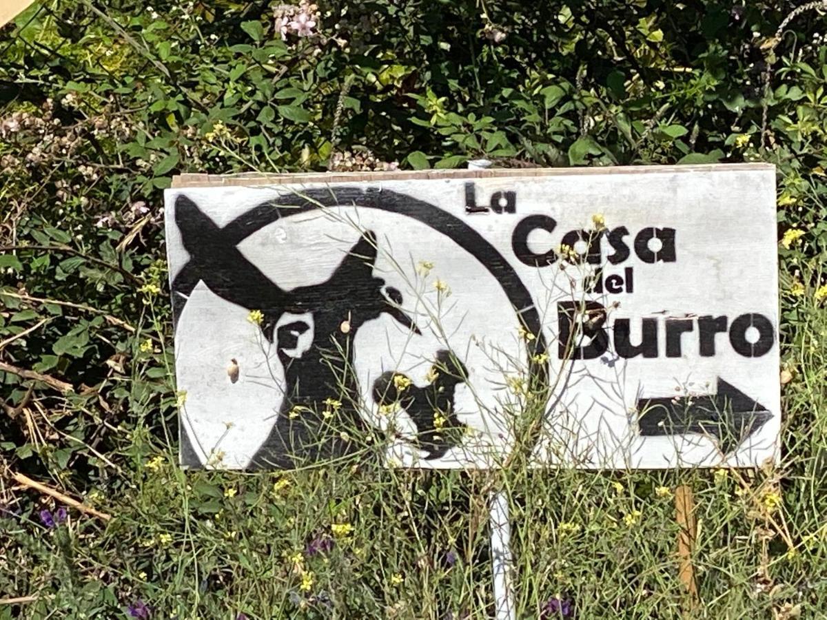Bed and Breakfast La Casa del Burro Nerja Esterno foto