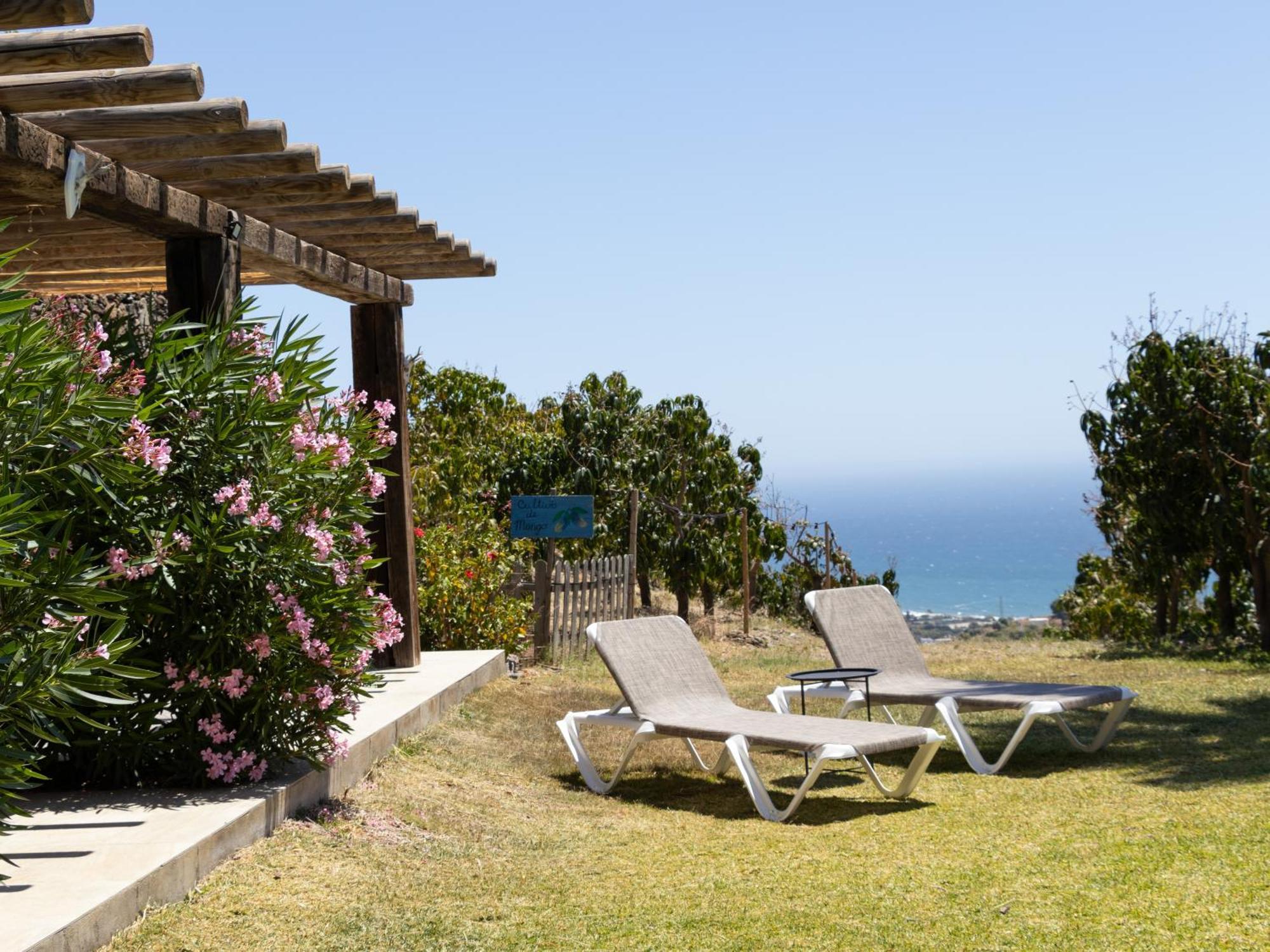 Bed and Breakfast La Casa del Burro Nerja Esterno foto