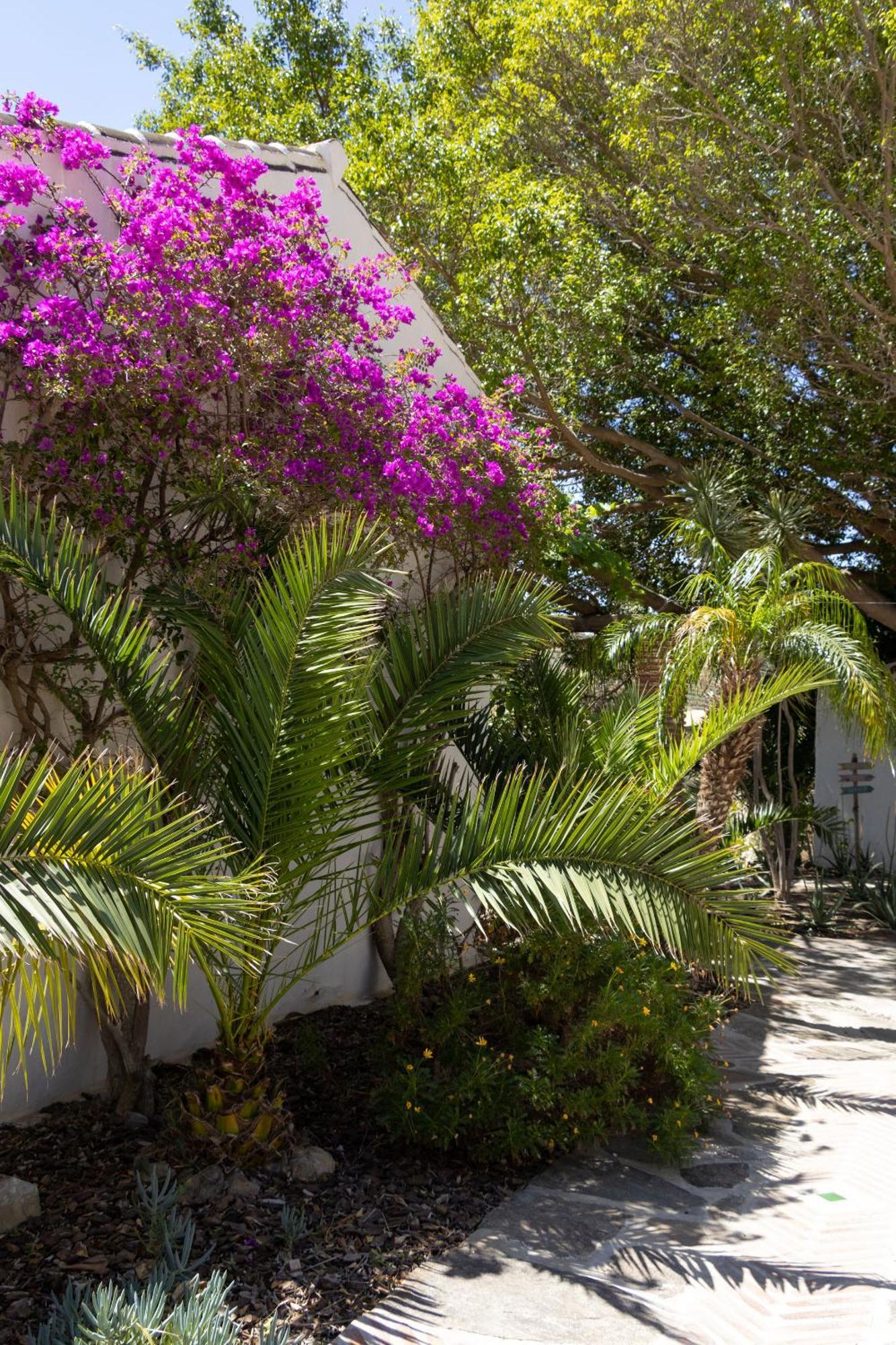 Bed and Breakfast La Casa del Burro Nerja Esterno foto